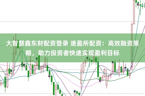 大智慧鑫东财配资登录 速盈所配资：高效融资策略，助力投资者快速实现盈利目标