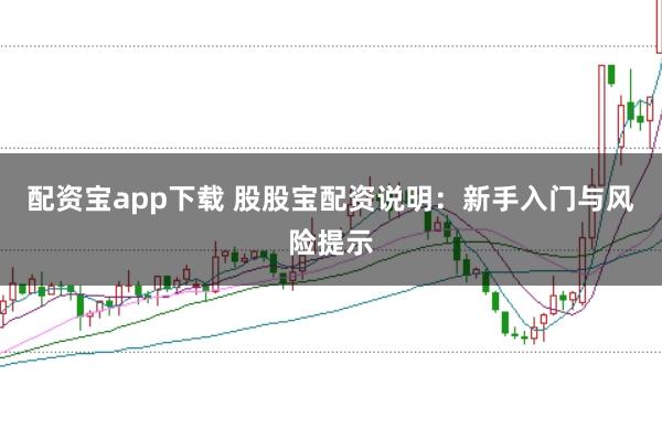 配资宝app下载 股股宝配资说明：新手入门与风险提示