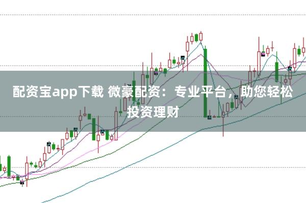 配资宝app下载 微豪配资：专业平台，助您轻松投资理财