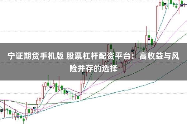 宁证期货手机版 股票杠杆配资平台：高收益与风险并存的选择
