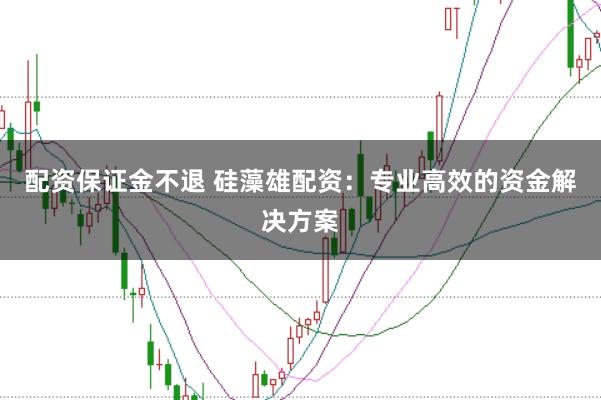 配资保证金不退 硅藻雄配资：专业高效的资金解决方案