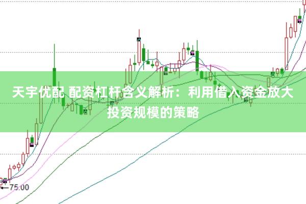 天宇优配 配资杠杆含义解析：利用借入资金放大投资规模的策略