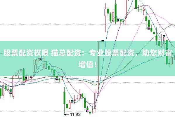 股票配资权限 猫总配资：专业股票配资，助您财富增值！