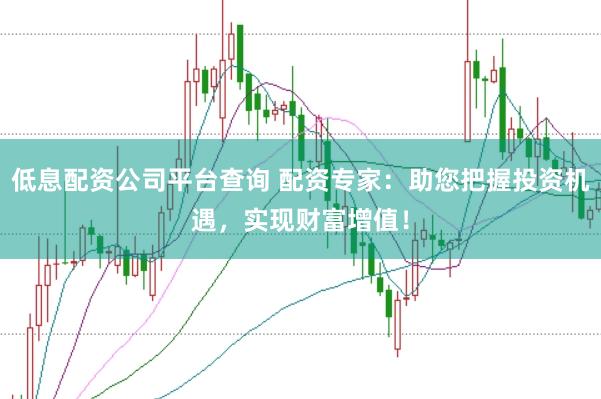 低息配资公司平台查询 配资专家：助您把握投资机遇，实现财富增值！