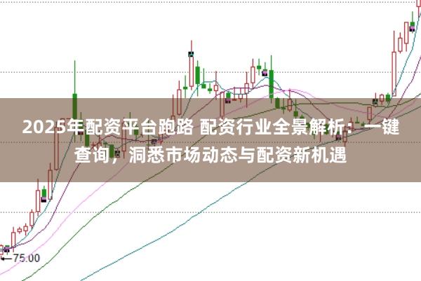 2025年配资平台跑路 配资行业全景解析：一键查询，洞悉市场动态与配资新机遇