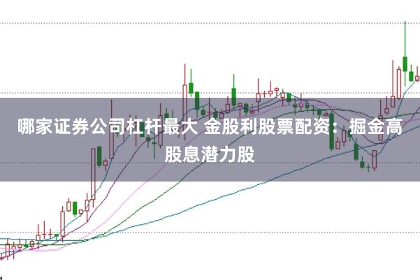 哪家证券公司杠杆最大 金股利股票配资：掘金高股息潜力股