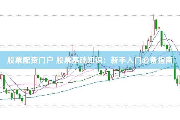 股票配资门户 股票基础知识：新手入门必备指南