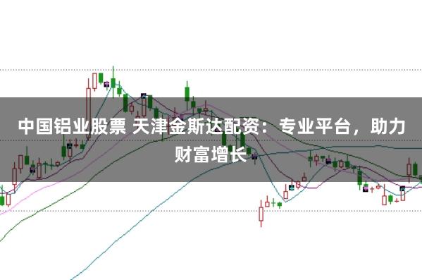 中国铝业股票 天津金斯达配资：专业平台，助力财富增长