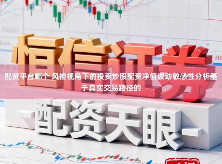 配资平台哪个 风控视角下的投资炒股配资净值波动敏感性分析基于真实交易路径的