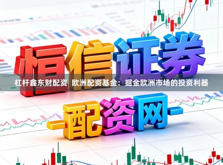 杠杆鑫东财配资  欧洲配资基金：掘金欧洲市场的投资利器