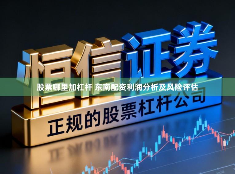 股票哪里加杠杆 东南配资利润分析及风险评估